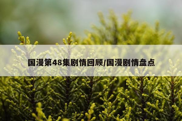 国漫第48集剧情回顾/国漫剧情盘点