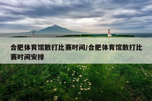 合肥体育馆散打比赛时间/合肥体育馆散打比赛时间安排