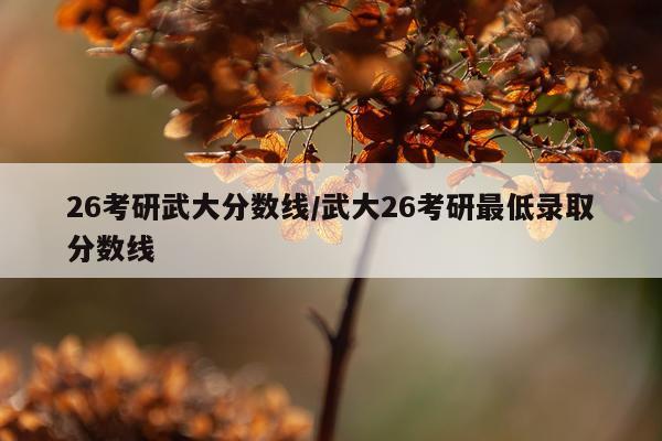 26考研武大分数线/武大26考研最低录取分数线