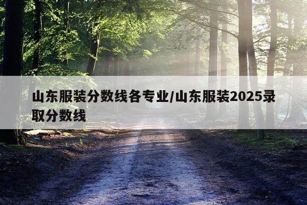 山东服装分数线各专业/山东服装2025录取分数线