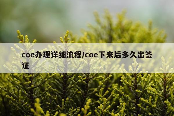 coe办理详细流程/coe下来后多久出签证