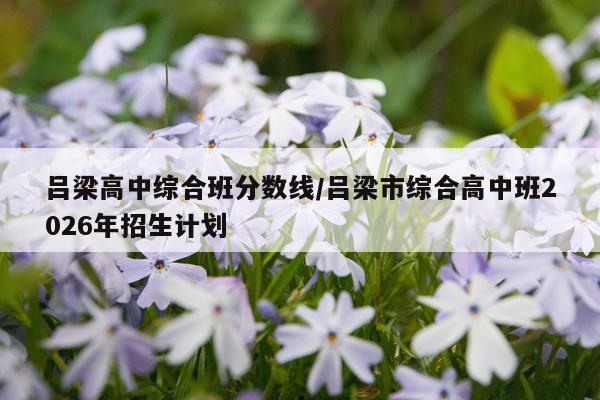吕梁高中综合班分数线/吕梁市综合高中班2026年招生计划