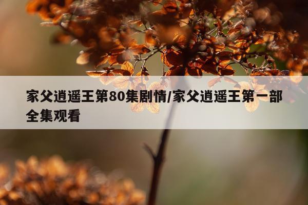 家父逍遥王第80集剧情/家父逍遥王第一部全集观看