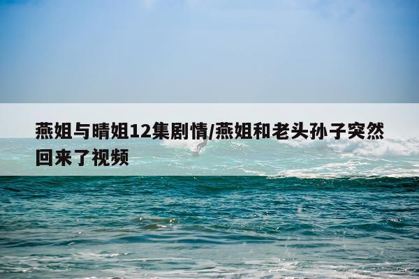 燕姐与晴姐12集剧情/燕姐和老头孙子突然回来了视频