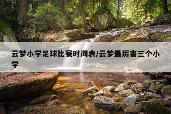 云梦小学足球比赛时间表/云梦最厉害三个小学