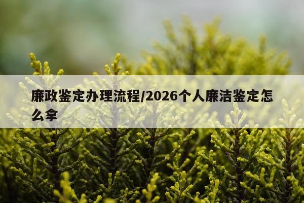 廉政鉴定办理流程/2026个人廉洁鉴定怎么拿