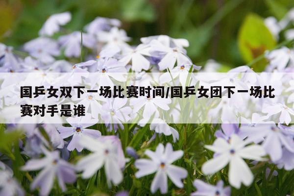 国乒女双下一场比赛时间/国乒女团下一场比赛对手是谁