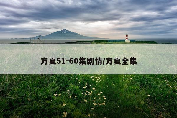 方夏51-60集剧情/方夏全集
