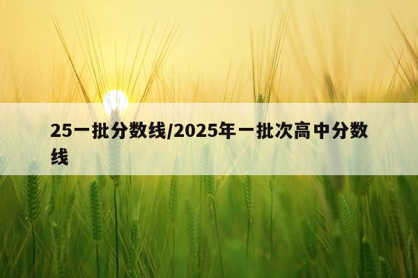 25一批分数线/2025年一批次高中分数线