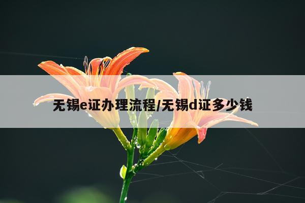 无锡e证办理流程/无锡d证多少钱