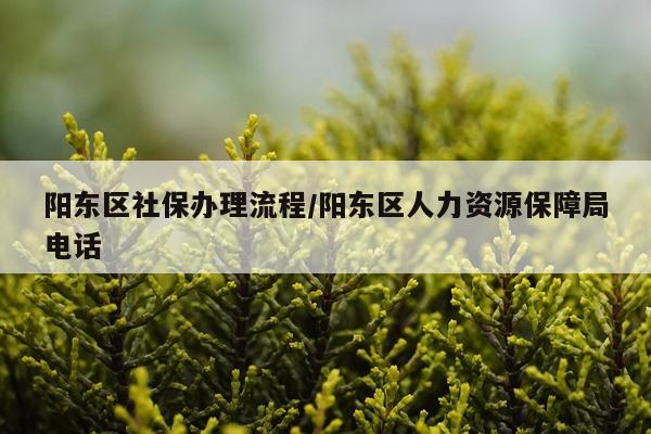 阳东区社保办理流程/阳东区人力资源保障局电话