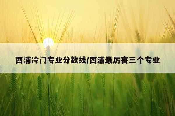 西浦冷门专业分数线/西浦最厉害三个专业