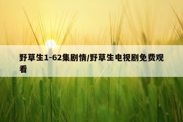 野草生1-62集剧情/野草生电视剧免费观看