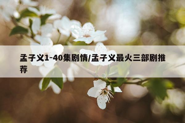 孟子义1-40集剧情/孟子义最火三部剧推荐