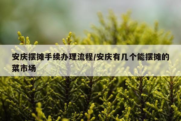 安庆摆摊手续办理流程/安庆有几个能摆摊的菜市场