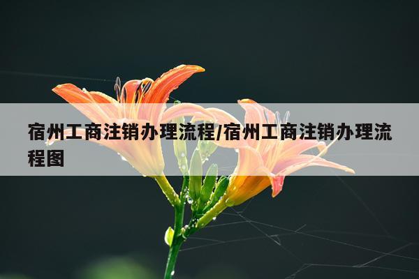 宿州工商注销办理流程/宿州工商注销办理流程图