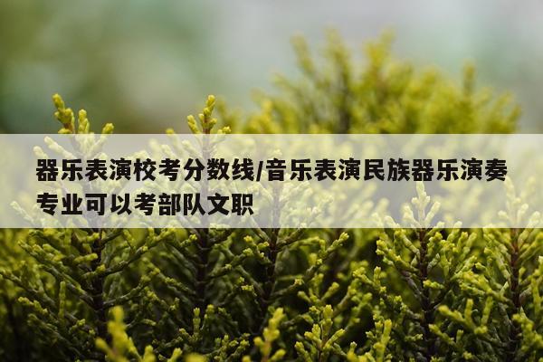 器乐表演校考分数线/音乐表演民族器乐演奏专业可以考部队文职