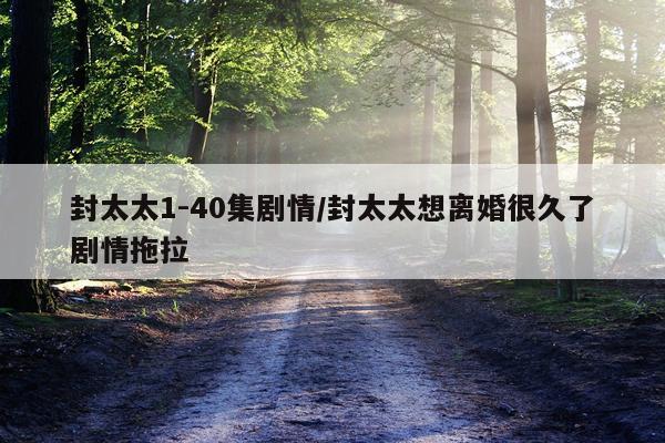 封太太1-40集剧情/封太太想离婚很久了剧情拖拉