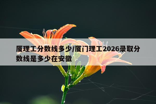 厦理工分数线多少/厦门理工2026录取分数线是多少在安徽