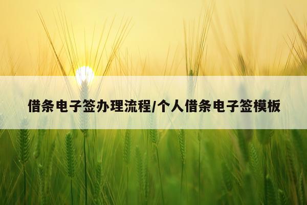 借条电子签办理流程/个人借条电子签模板