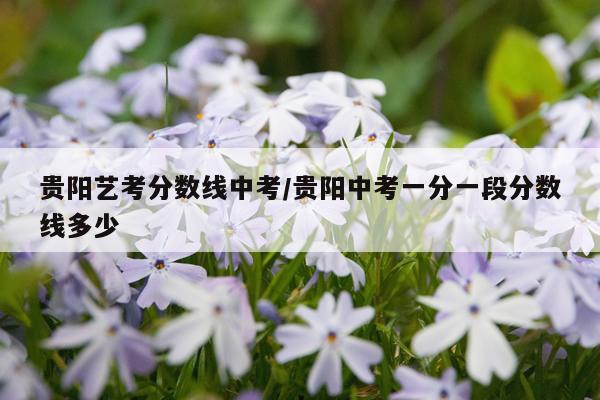 贵阳艺考分数线中考/贵阳中考一分一段分数线多少