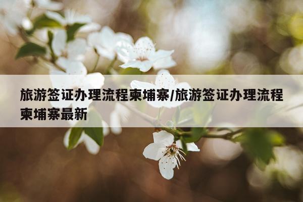 旅游签证办理流程柬埔寨/旅游签证办理流程柬埔寨最新