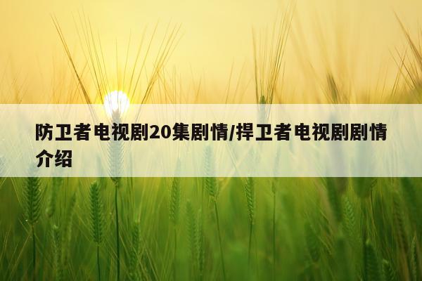 防卫者电视剧20集剧情/捍卫者电视剧剧情介绍