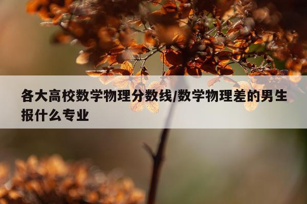 各大高校数学物理分数线/数学物理差的男生报什么专业