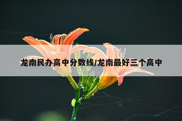龙南民办高中分数线/龙南最好三个高中