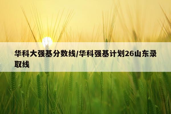 华科大强基分数线/华科强基计划26山东录取线