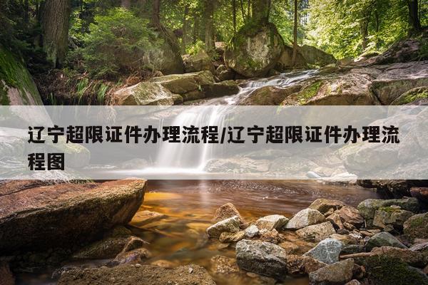 辽宁超限证件办理流程/辽宁超限证件办理流程图