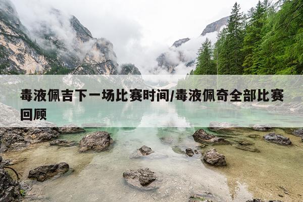 毒液佩吉下一场比赛时间/毒液佩奇全部比赛回顾