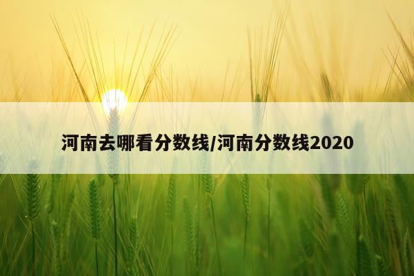 河南去哪看分数线/河南分数线2020