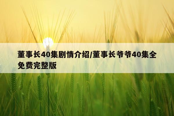 董事长40集剧情介绍/董事长爷爷40集全免费完整版