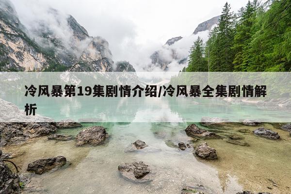 冷风暴第19集剧情介绍/冷风暴全集剧情解析