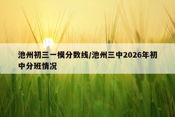 池州初三一模分数线/池州三中2026年初中分班情况
