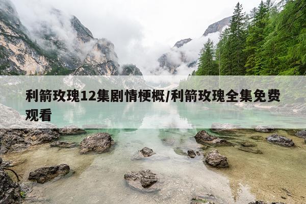 利箭玫瑰12集剧情梗概/利箭玫瑰全集免费观看