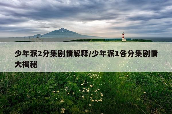 少年派2分集剧情解释/少年派1各分集剧情大揭秘