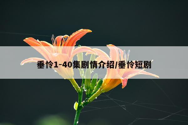垂怜1-40集剧情介绍/垂怜短剧