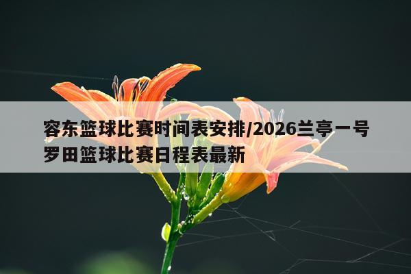 容东篮球比赛时间表安排/2026兰亭一号罗田篮球比赛日程表最新