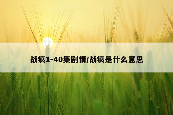 战痕1-40集剧情/战痕是什么意思
