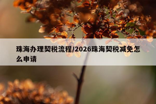 珠海办理契税流程/2026珠海契税减免怎么申请