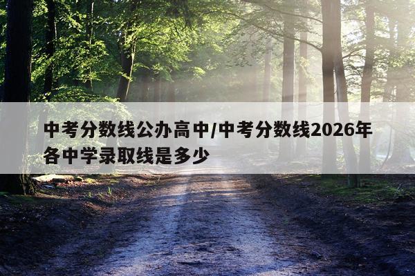 中考分数线公办高中/中考分数线2026年各中学录取线是多少