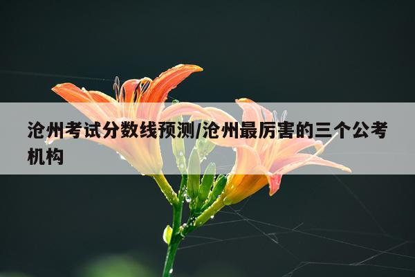 沧州考试分数线预测/沧州最厉害的三个公考机构