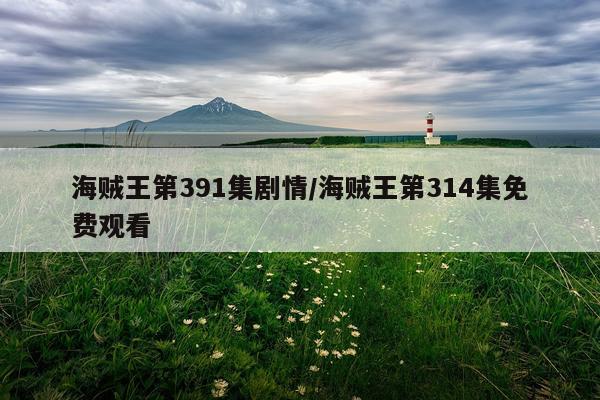 海贼王第391集剧情/海贼王第314集免费观看
