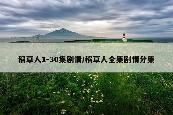 稻草人1-30集剧情/稻草人全集剧情分集