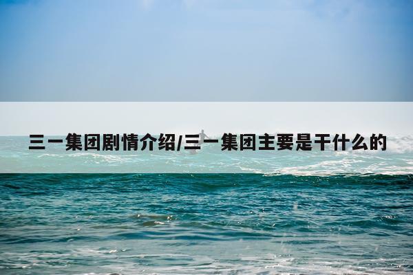 三一集团剧情介绍/三一集团主要是干什么的