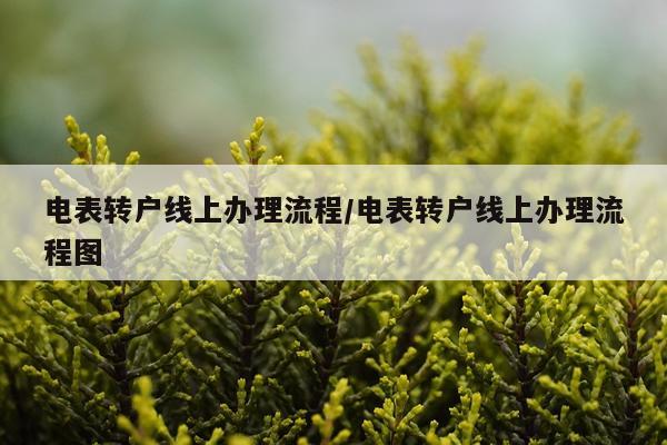 电表转户线上办理流程/电表转户线上办理流程图