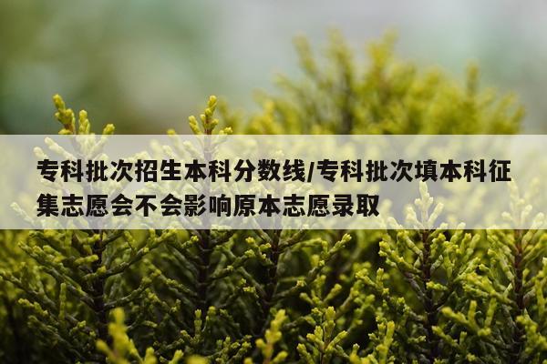 专科批次招生本科分数线/专科批次填本科征集志愿会不会影响原本志愿录取