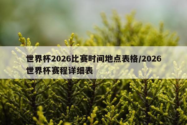 世界杯2026比赛时间地点表格/2026世界杯赛程详细表
